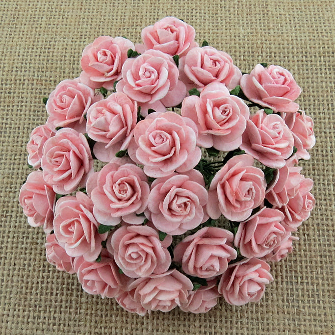 Micro Roses - Light Pink