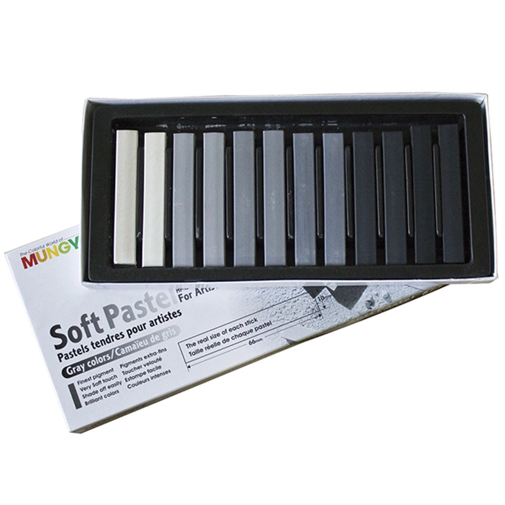 Soft Pastel For Artists 12 Gray Colors set