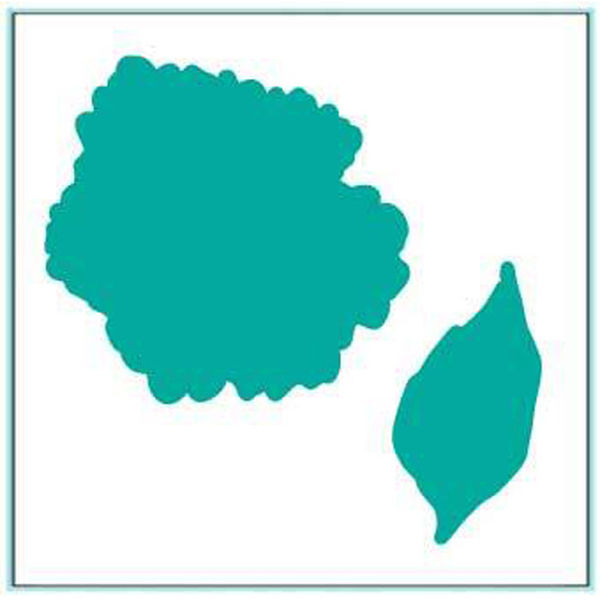 Through Thick and Thin Die Set