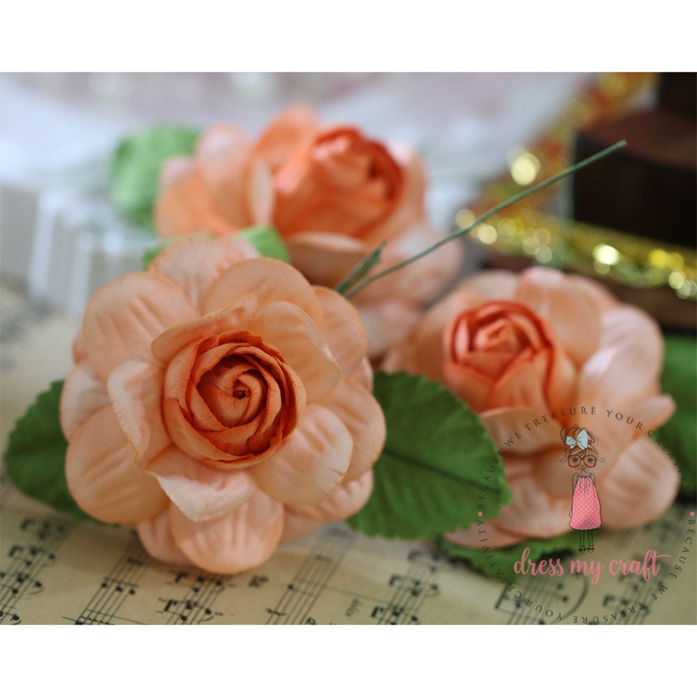 Big Roses - Soft Orange