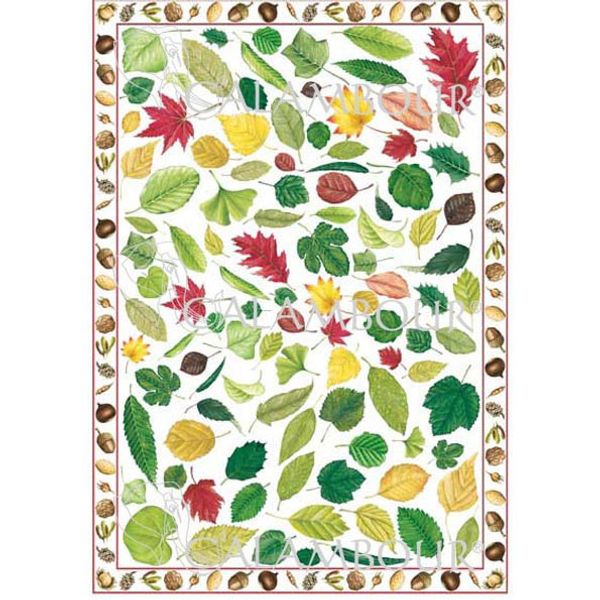 CAL140 - Paper Sheet