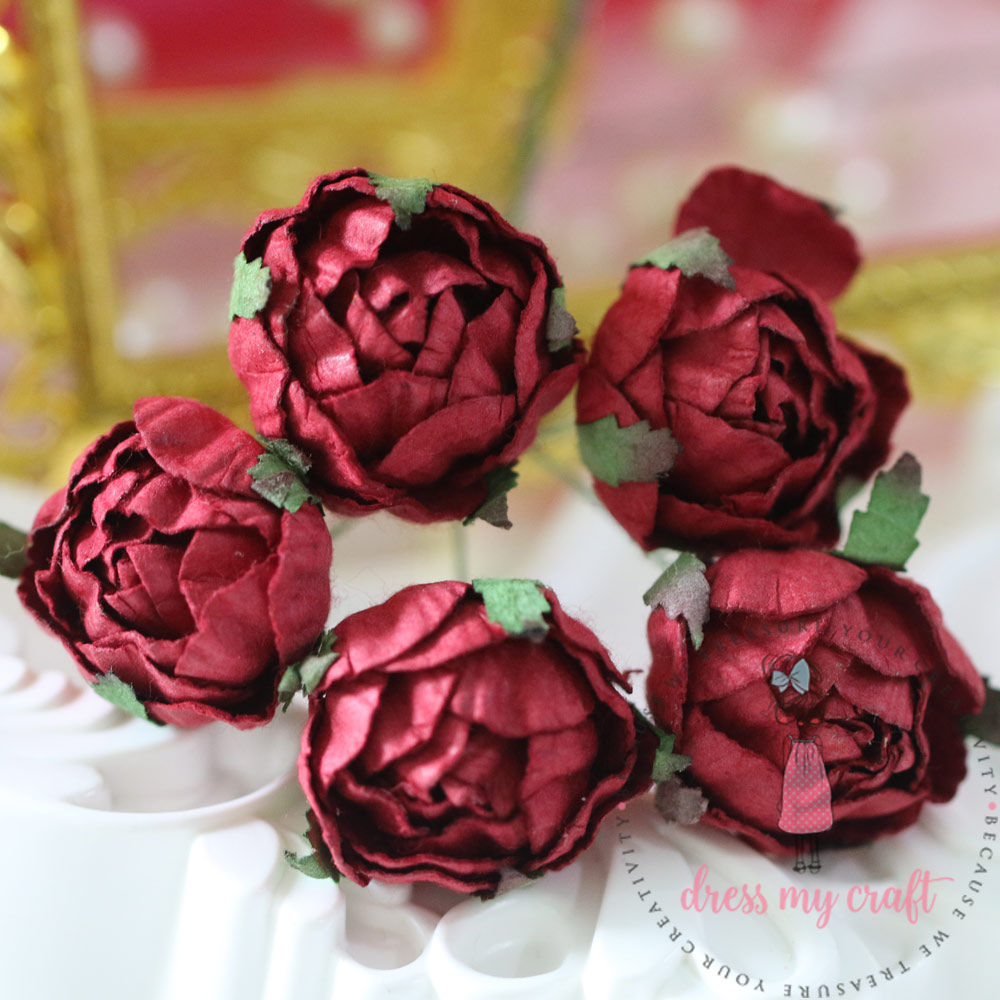 Cabbage Rose - Maroon