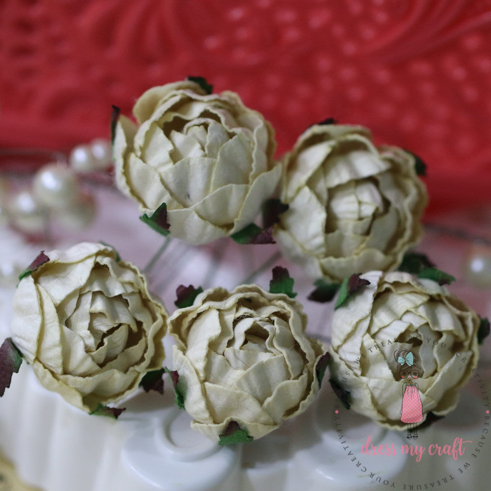 Cabbage Rose - Cream