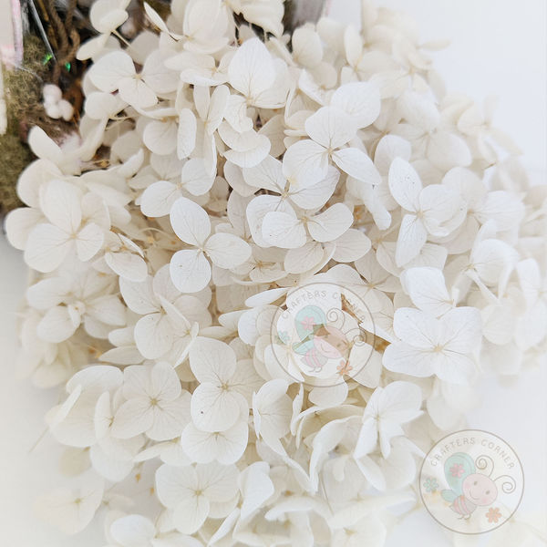 Dry Hydrangea Flower - Ivory