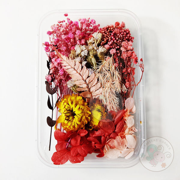 Mix Style Natural Dry Flowers #10