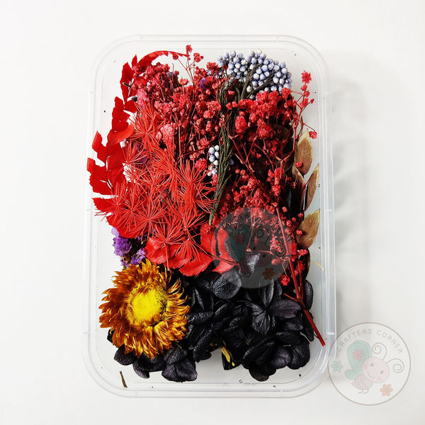 Mix Style Natural Dry Flowers #12