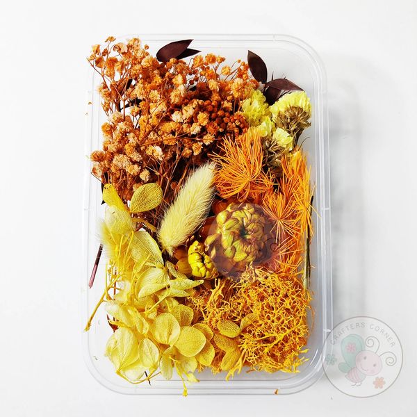 Mix Style Natural Dry Flowers #13