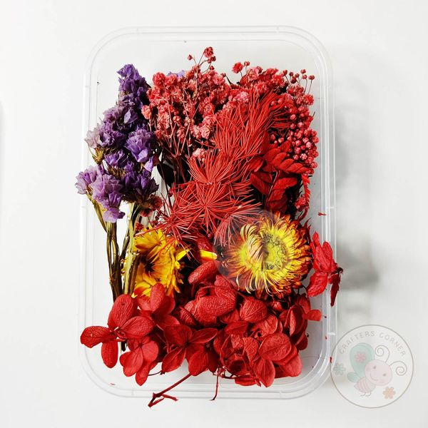 Mix Style Natural Dry Flowers #14