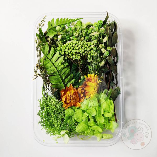 Mix Style Natural Dry Flowers #15