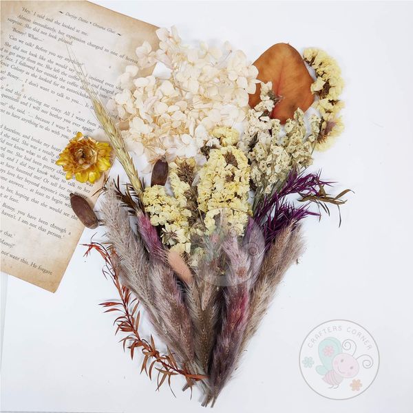 Mix Style Natural Dry Flowers #6