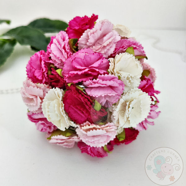 Pink - Carnations Combo