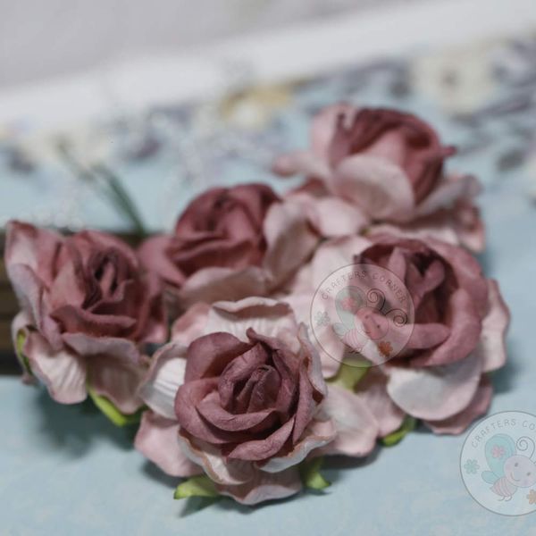 Wine Berry - Curly Roses