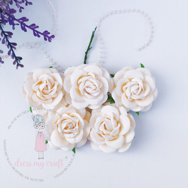 Curved Roses 45 MM - White