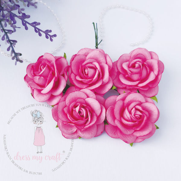 Curved Roses 45 MM - Bubblegum