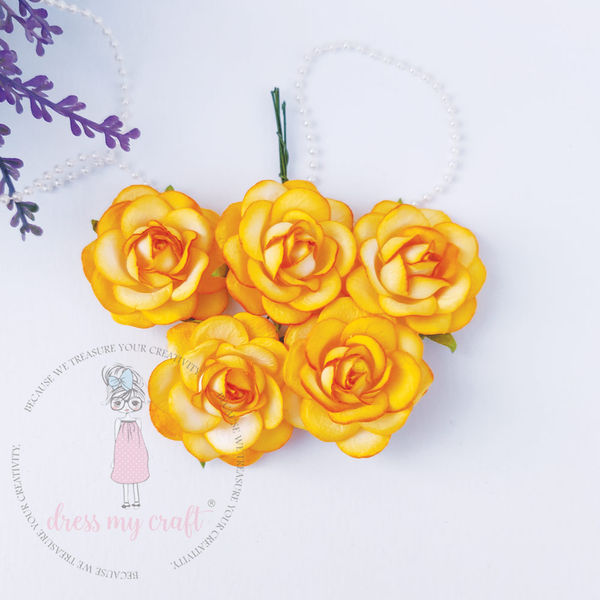 Curved Roses 45 MM - Butterscotch