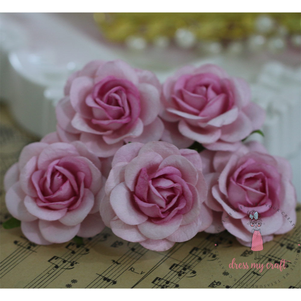 Curved Roses 45 MM - Pink Beauty