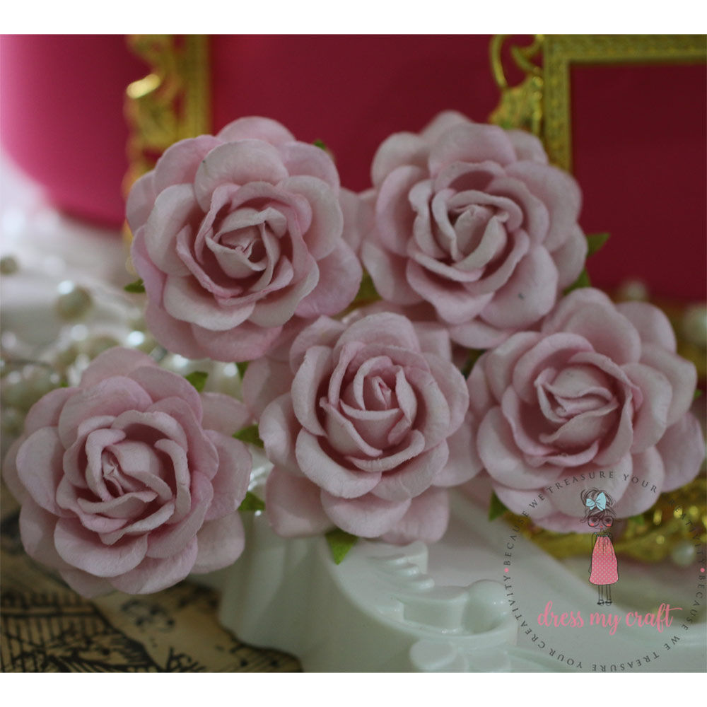 Curved Roses 45 MM - Baby Pink