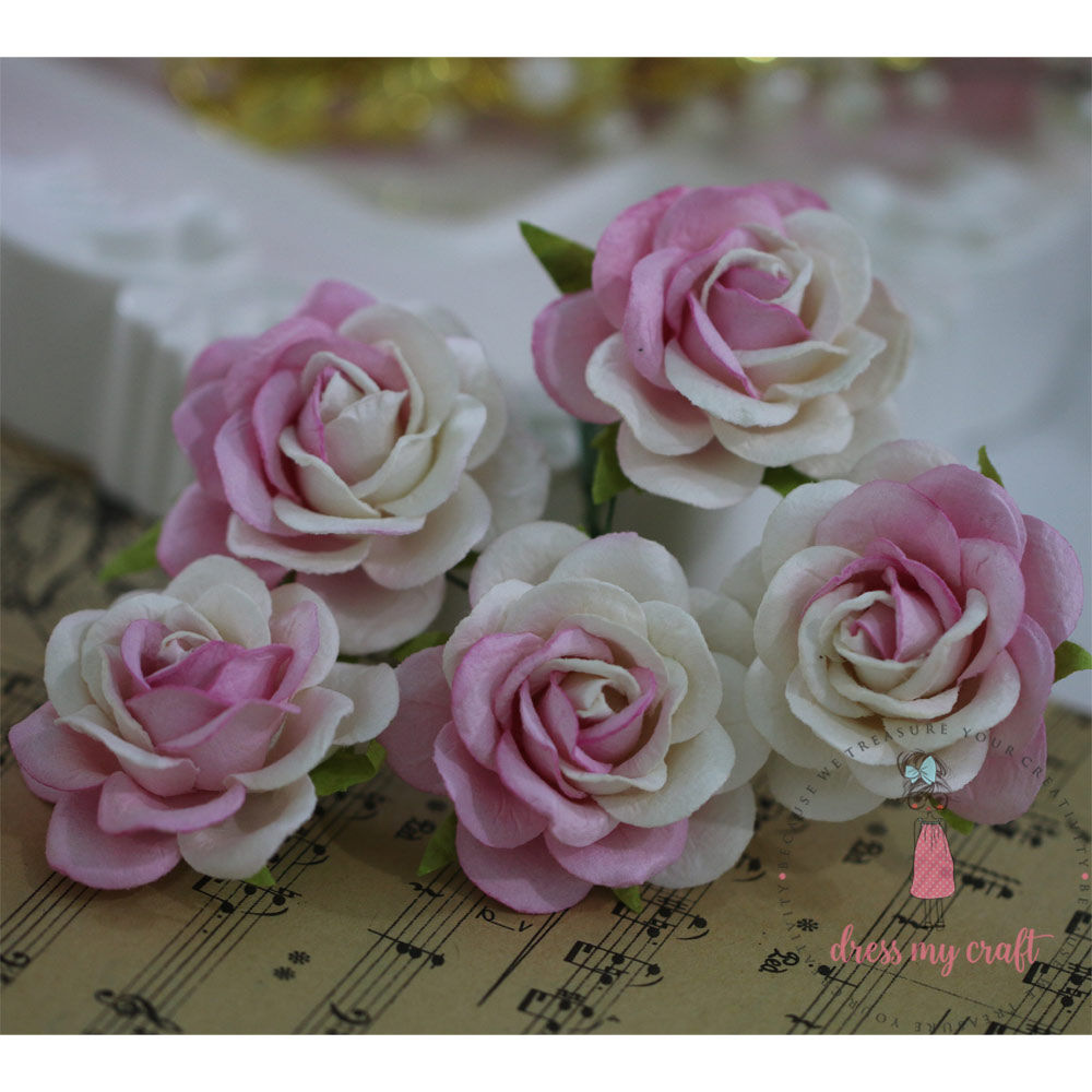 Curved Roses 45 MM - Pink Combo