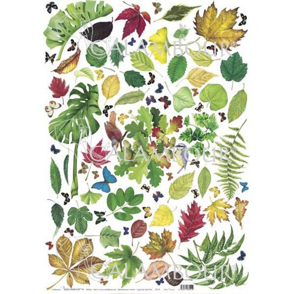 DE02 - Double-face Printed Paper on Both Sides