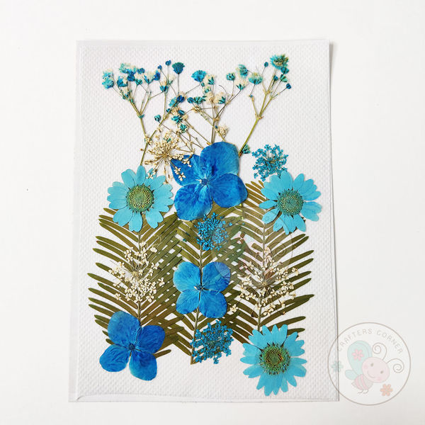 Dry Flowers - Blue Family