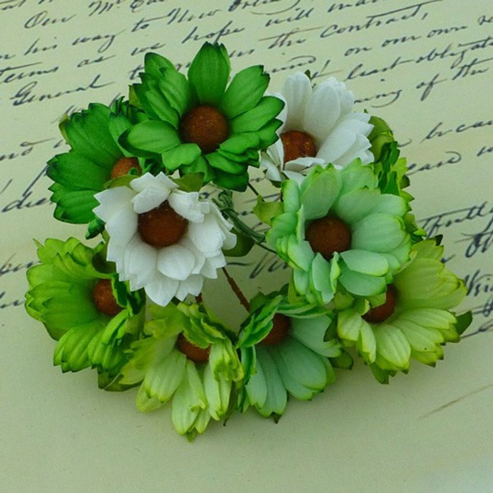 Daisy Flower - Green Combo