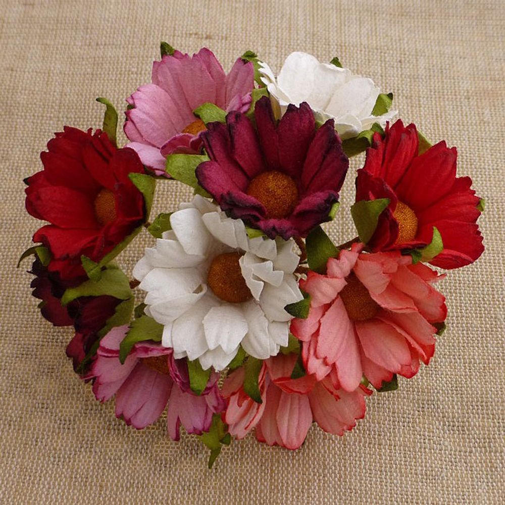 RED/PINK & WHITE - Mulberry Daisy Flower Combo
