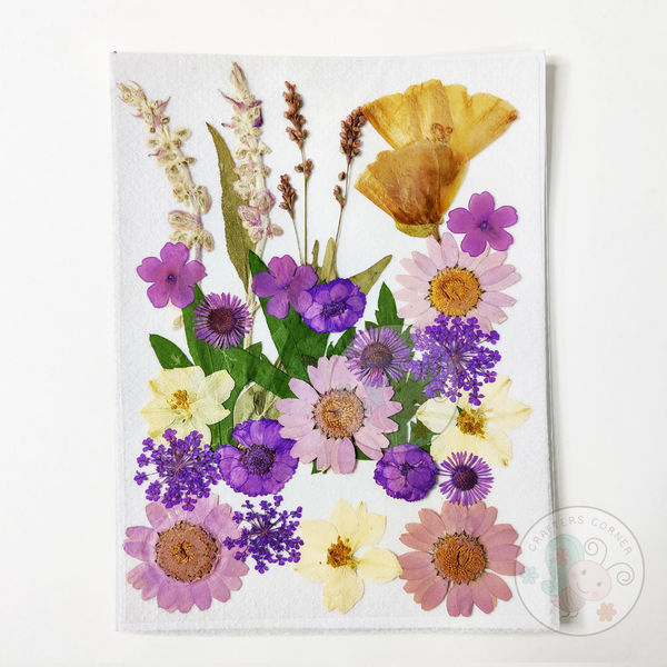 Dry Flowers - Purple Family