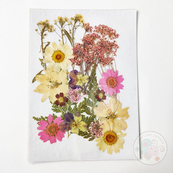 Dry Flowers - Pink Family
