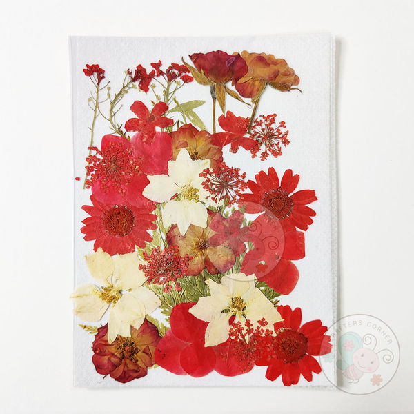 Dry Flowers - Red Family #2