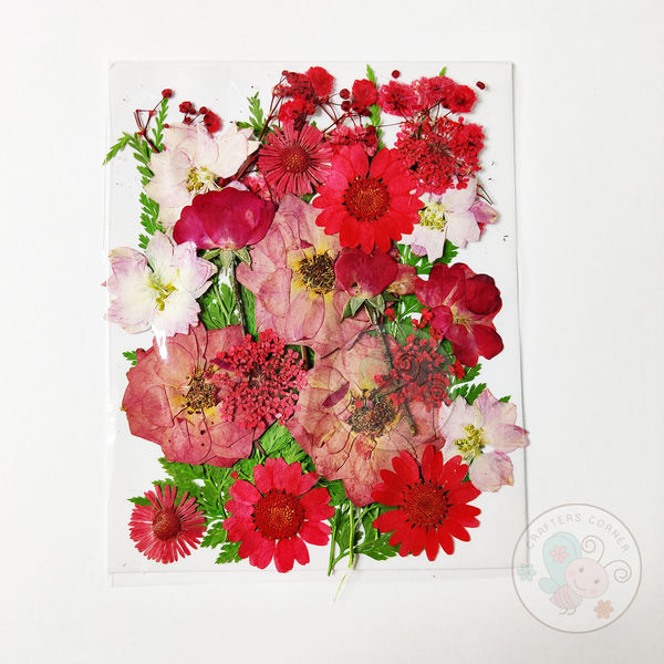 Dry Flowers - Red Family #3