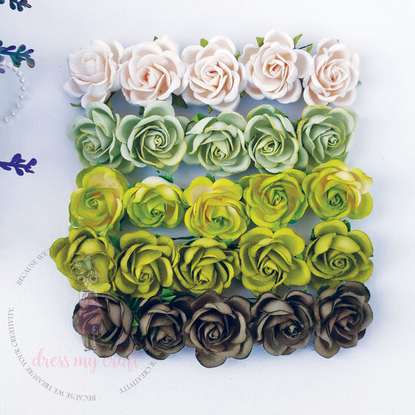 Curved Roses Fresh Green Combo Set - 35 MM - 50 Pcs/ Pack