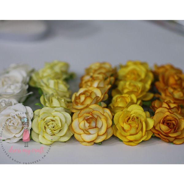 Curved Roses Combo Set #4 - 45 MM - 25 Pcs/ Pack