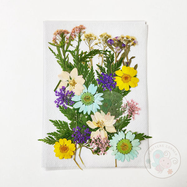 Dry Flowers - Mix Colors #1