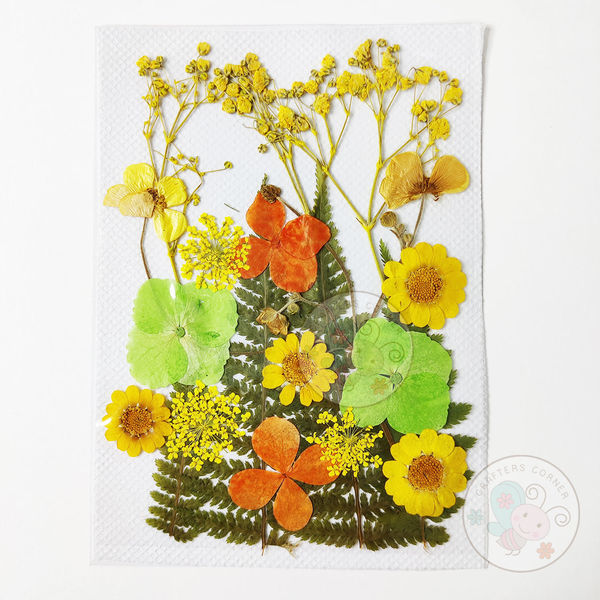 Dry Flowers - Mix Colors #2