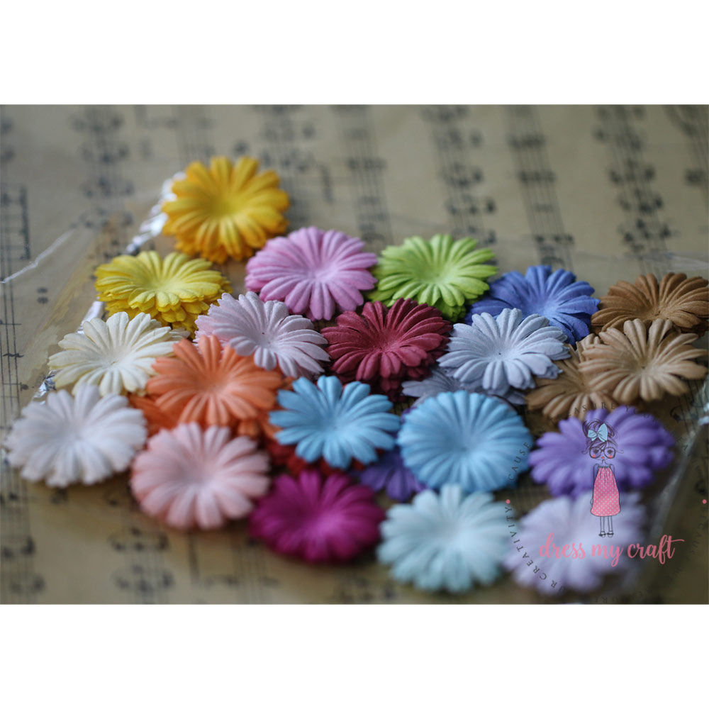Daisy Flat Flowers - Multicolor