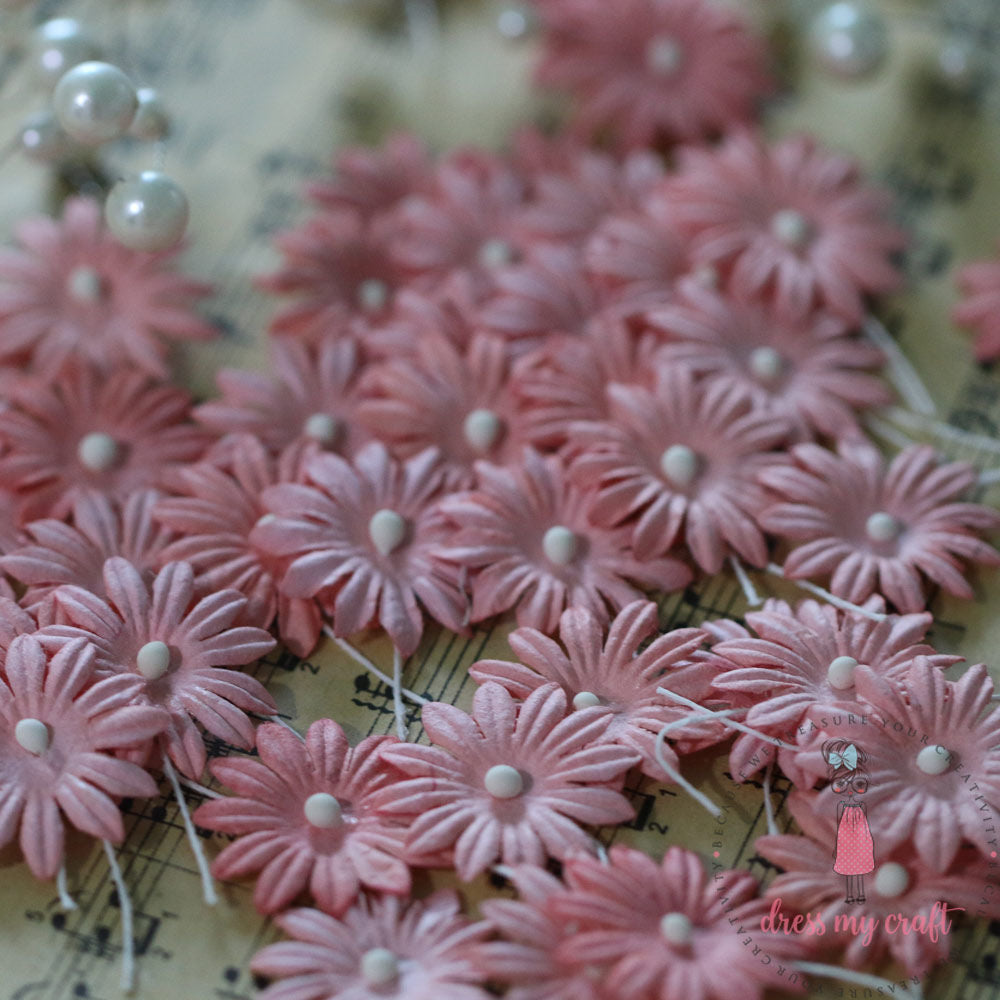 Daisy Flat Flowers with Pollens - Pink
