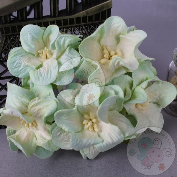 Gardenia Flowers - Pastel Green