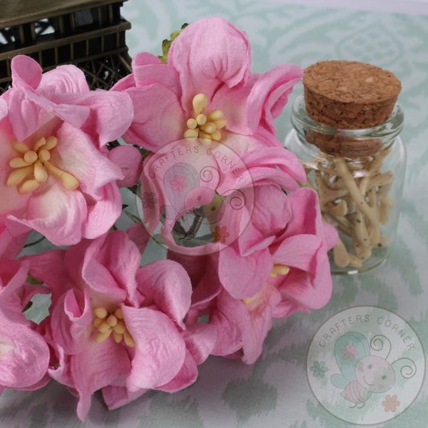 Gardenia Flowers - Pink