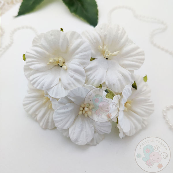 Hollyhock Flower - Ivory
