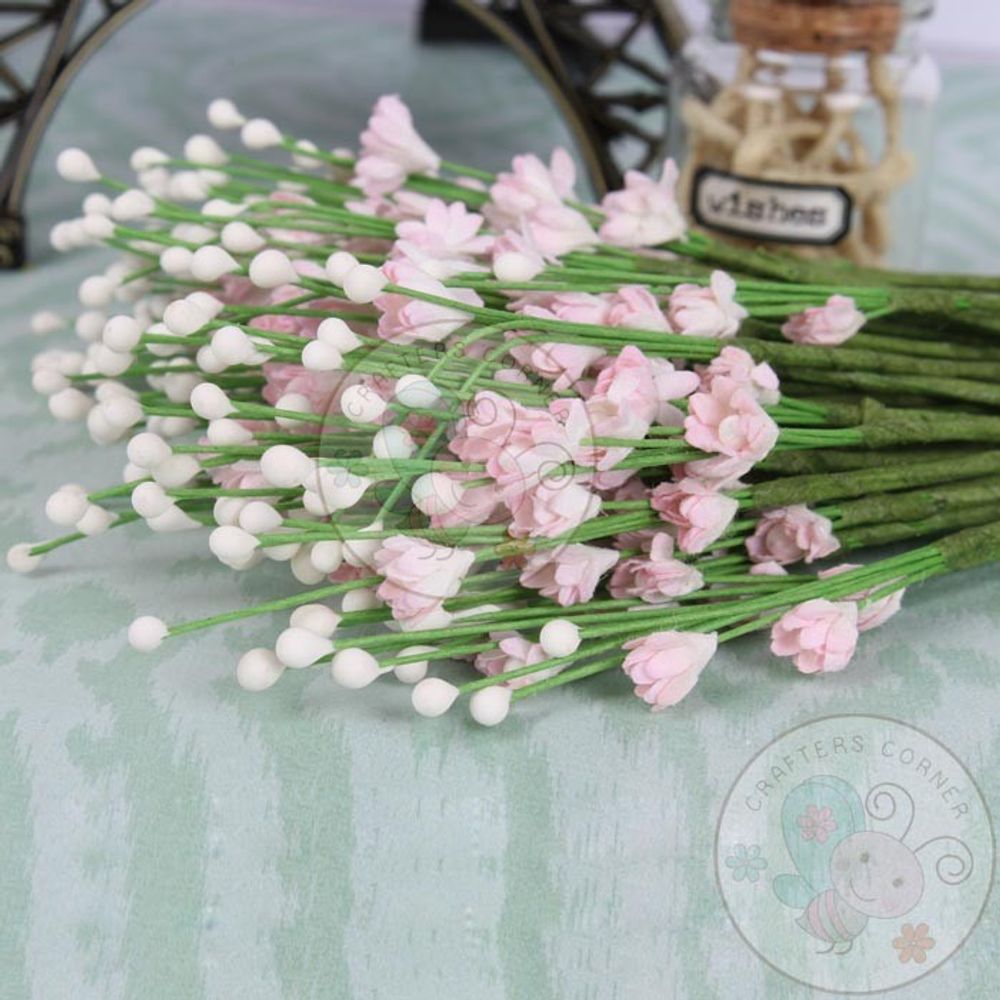 Lilac - Filler Flower with Pollens