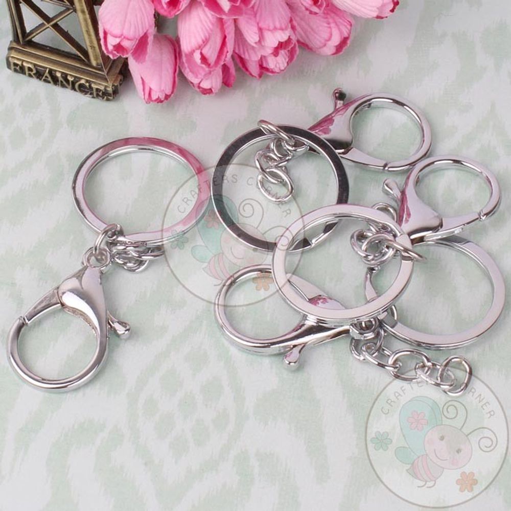 Key Ring with Clasp - Silver