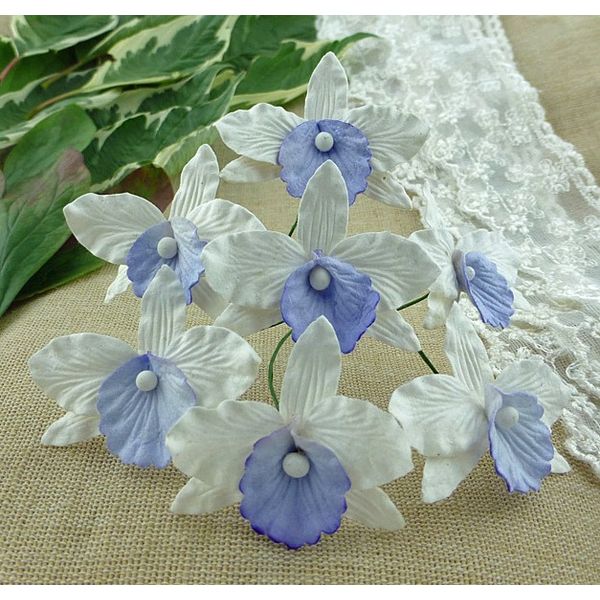 WHITE WITH LILAC/BLUE - Orchids Combo