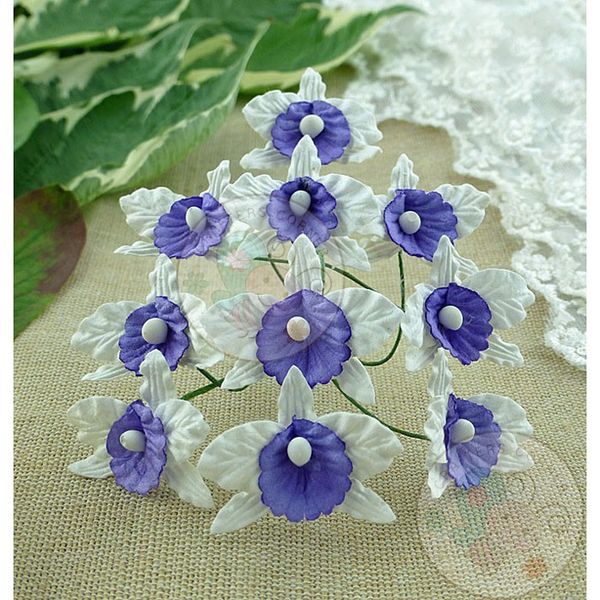 White and Lilac/Blue - Orchids Combo