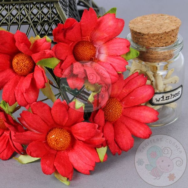 Shaded Pink - Mulberry Daisy Flower