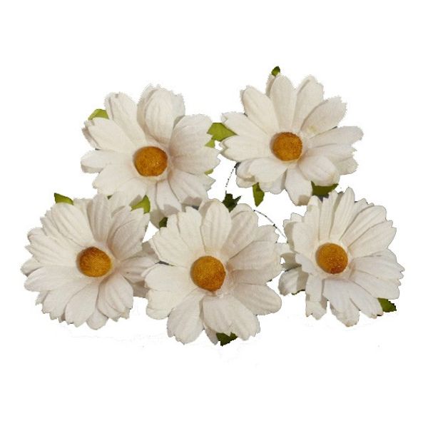 Off White - Mulberry Daisy Flower