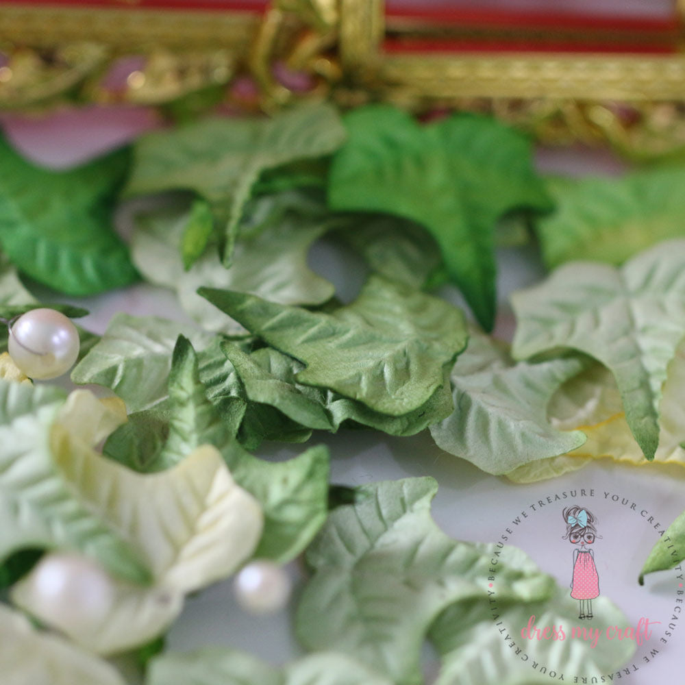 Maple Leaf - Spring Collection