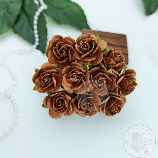 Micro Roses - Caramel