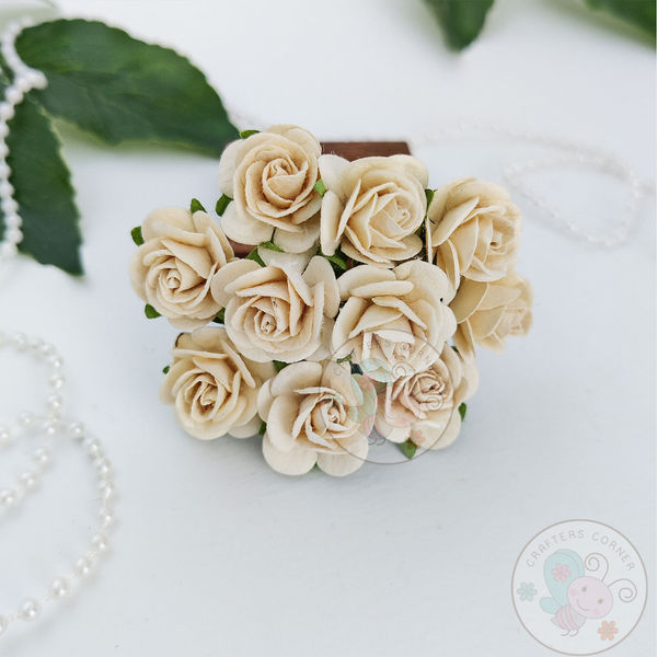 Micro Roses - Cream