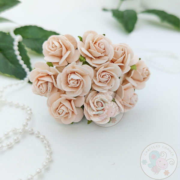 Micro Roses - Pale Peach