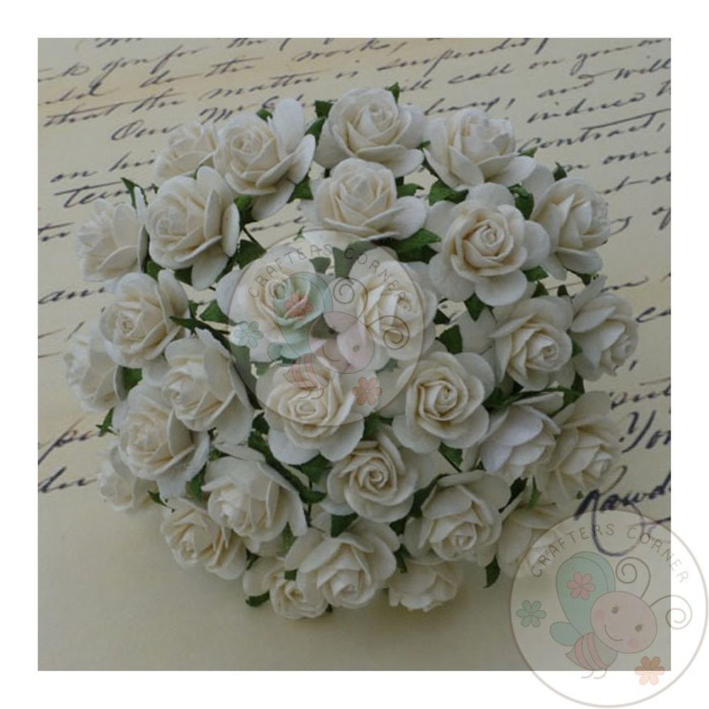 Micro Roses - Ivory